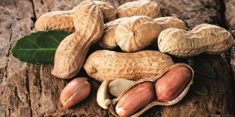 amendoim-com-casca-allnuts