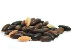 castanha-de-baru-sem-casca