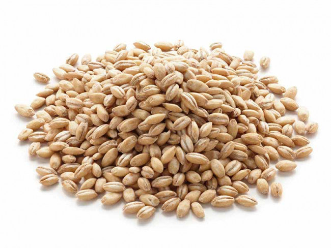 cevada-perolizada-sem-casca