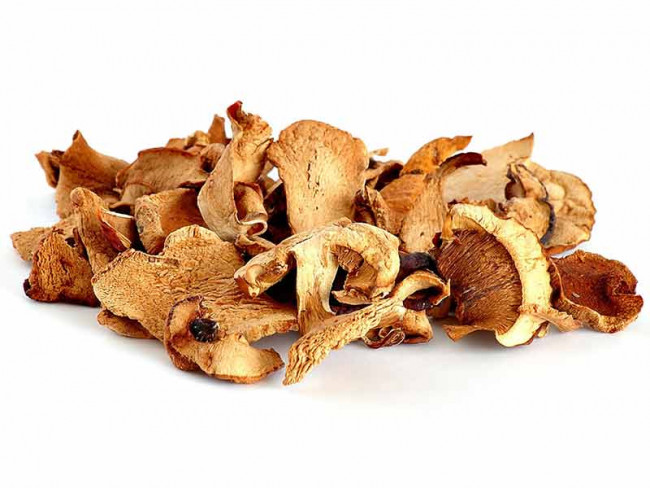 cogumelo-funghi-porcini-seco