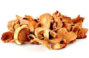 funghi-seco-e-desidratado-all-nuts-min.jpg