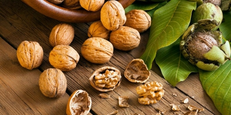 nozes-com-casca-allnuts