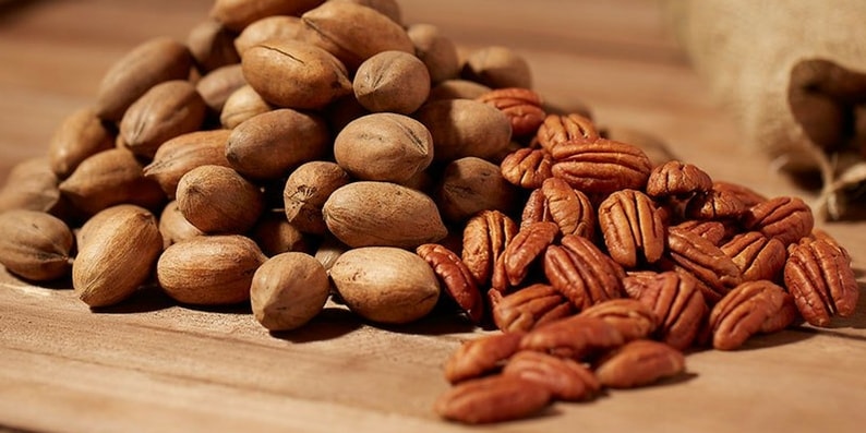 nozes-de-pecan-all-nuts-min (1)