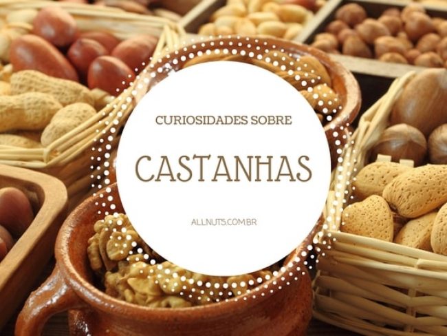 12-curiosidades-sobre-os-diferentes-tipos-de-castanhas-allnuts
